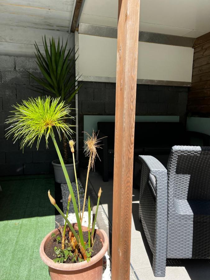 L'améthyste - Bungalow de charme Cilaos Exterior foto